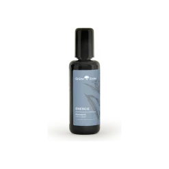 EnergieMassageöl mit Ingwer 100 ml