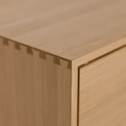 Esempio Modul 21Schublade (Eiche)