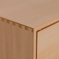 Esempio Modul 14Tür mit Anschlag links (Kernbuche)
