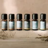 Grapefruitätherisches Öl 10 ml