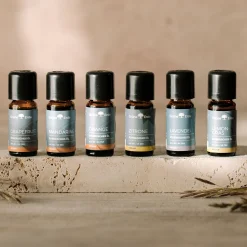Grapefruitätherisches Öl 10 ml