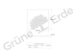 Kleiderschrank TensoFachbrett (Esche)
