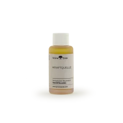 KraftquelleBiologischer Raumduft Nachfüllung 100 ml