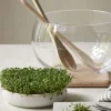 Kresseteller aus weißem TerracottaH 4 cm, ø 17 cm