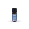 Lavendelätherisches Öl 10 ml