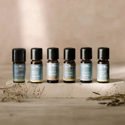 Orangeätherisches Öl 10 ml