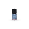 Rosengeranieätherisches Öl 5 ml