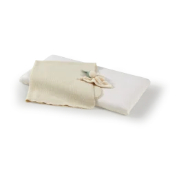 SchlummerwölkchenBabymatratze, VEGAN (40 x 70 cm)
