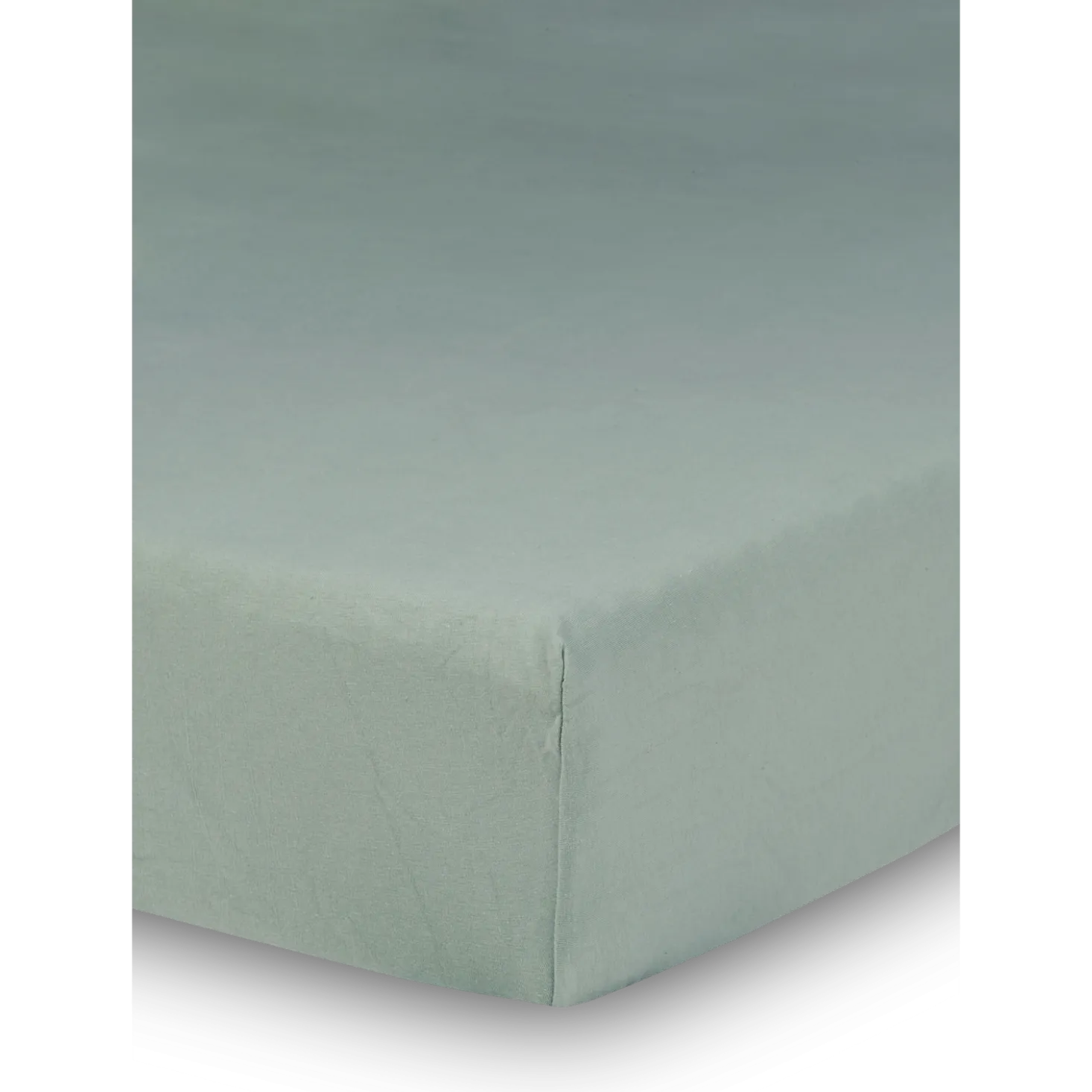 Spannleintuch Aliza97 % Baumwolle/3 % Elasthan, Jersey, GOTS, VEGAN (salbei, 90/100 x 200/220 x 22/28 cm)