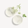 Teller mit Farnabdruck