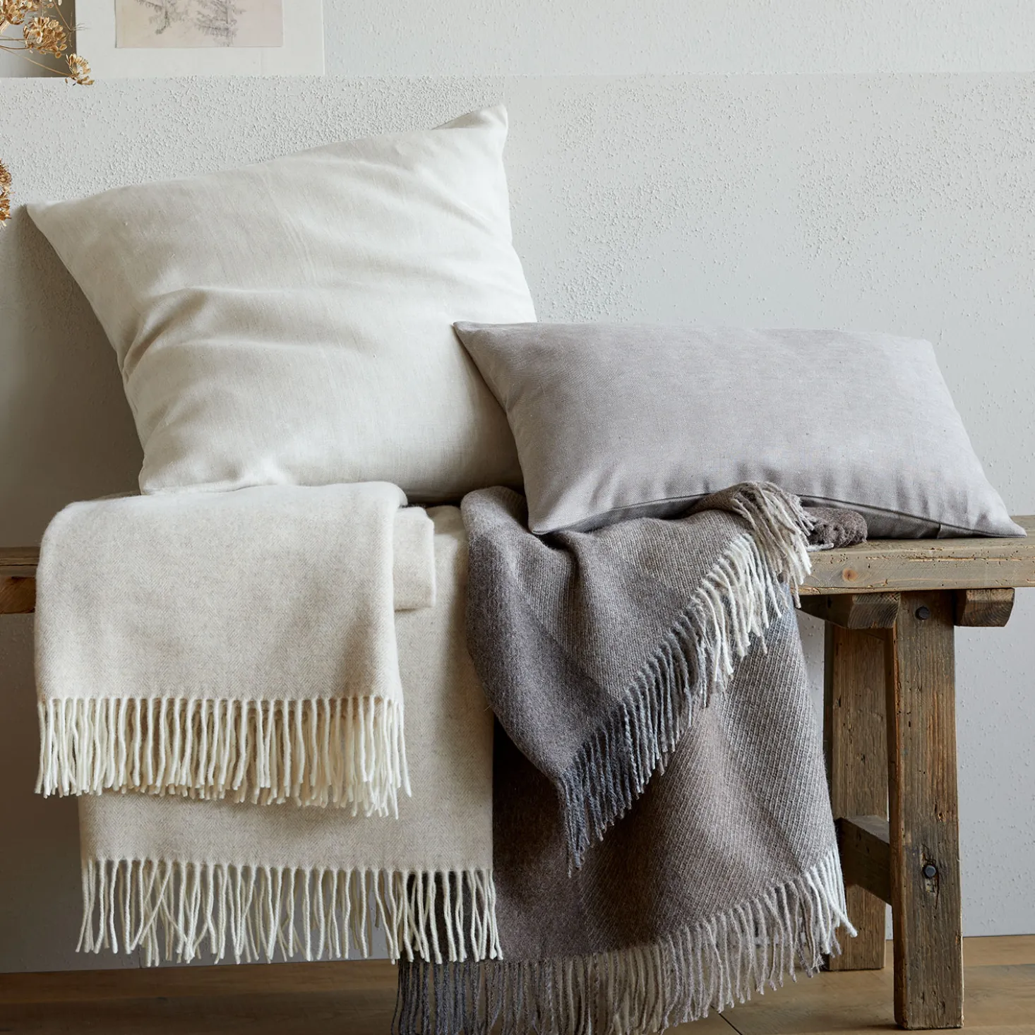 Wohndecke Lady Grey140 x 200 cm, 100 % Schurwolle (Lamm) (cappucchino)